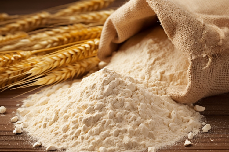 Starch_bannerph.jpg
